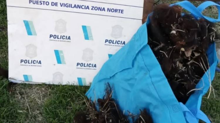 Se realizaron varios allanamientos con resultado positivo