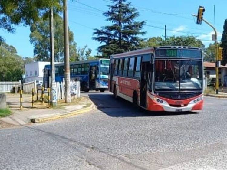 "Tenemos una situación casi terminal en el transporte puntaltense"