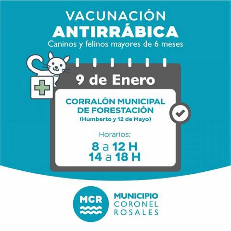 Se realizará una campaña de vacunación antirrábica