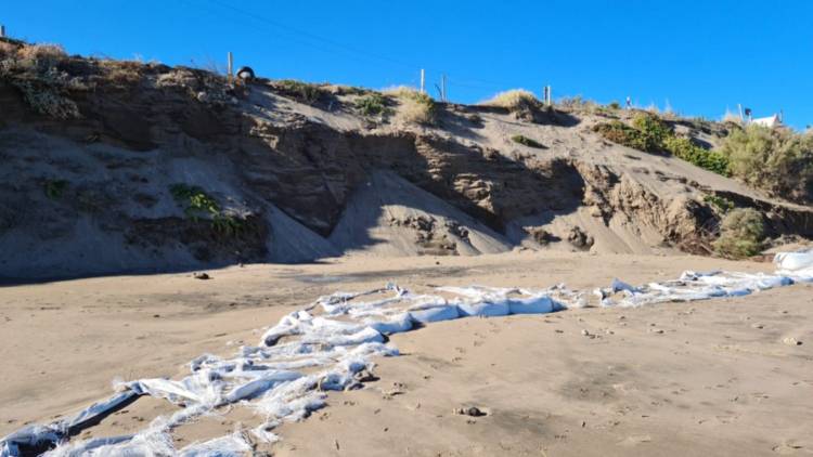 Dr. Perillo: “Con el murallón de piedras, la playa se va a erosionar mucho más rápido en Pehuen Co”