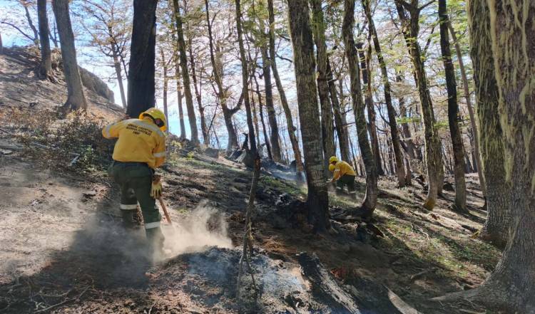 Brigadistas forestales de la Armada Argentina regresaron a la Base Naval Puerto Belgrano
