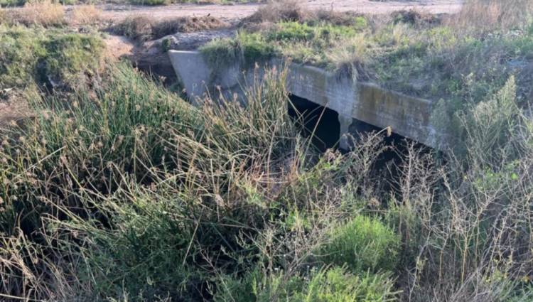 Se solicita el mantenimiento de pluviales y dragado de los canales principales en Coronel Rosales