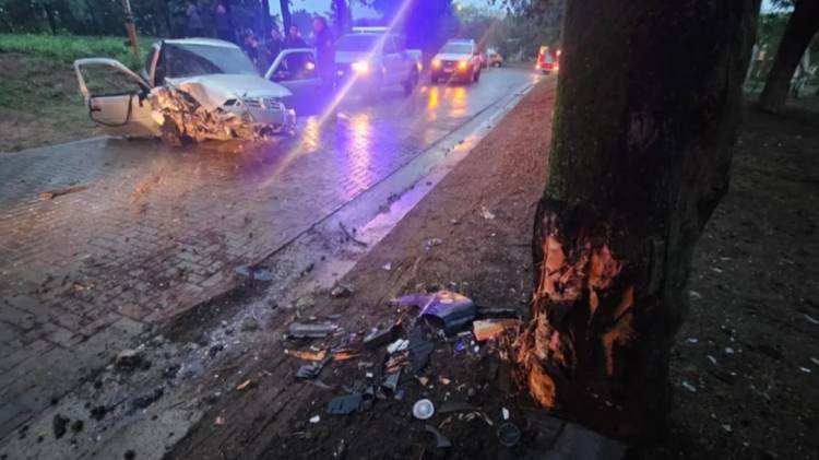 Un auto impactó contra un árbol en el interior del Parque San Martín