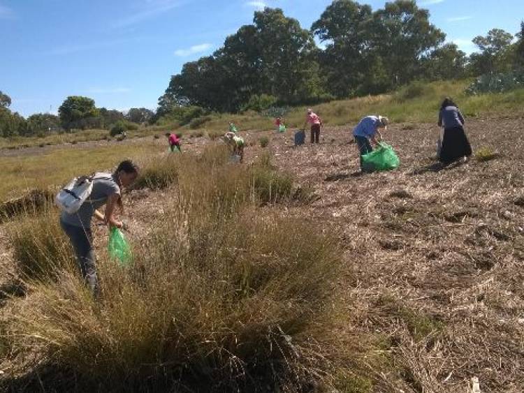El próximo sábado habrá una nueva jornada de limpieza en los humedales