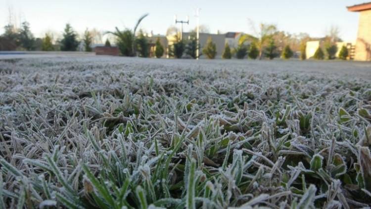 Ola polar en la Provincia: ¿Podría nevar en Punta Alta durante el fin de semana?