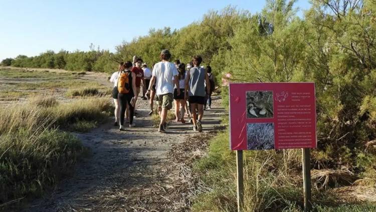 Llega la 17º edición de la Fiesta de los Humedales en Villa del Mar