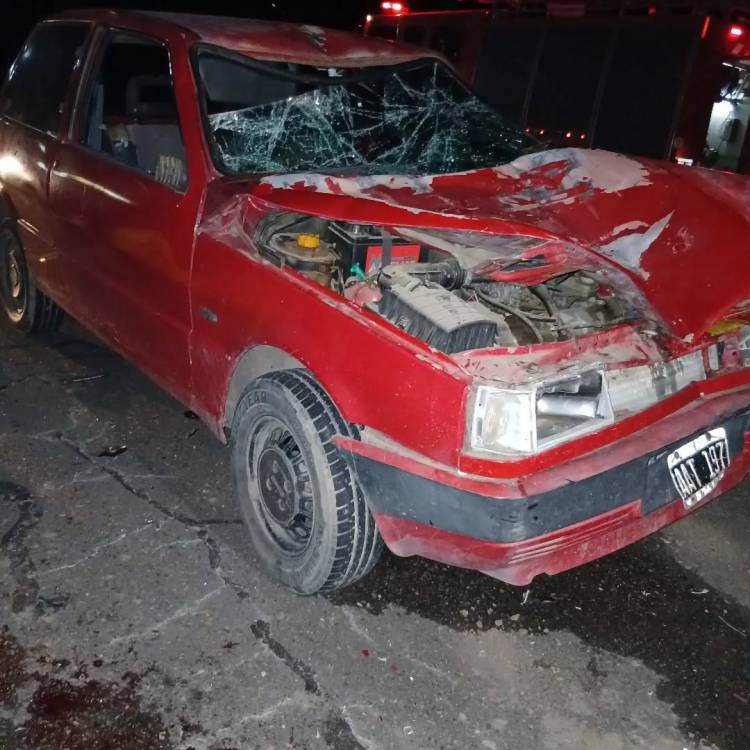 Un auto impactó con un caballo suelto en la ruta 249