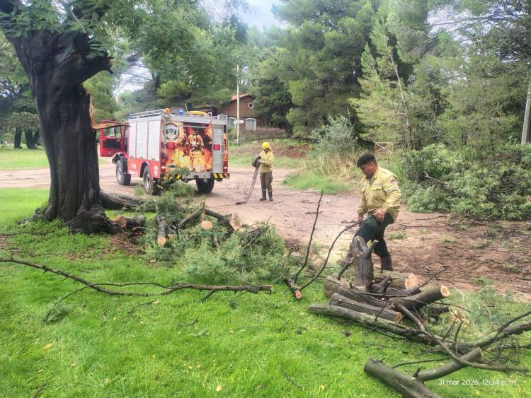 Bomberos Voluntarios de Pehuen Co brindaron asistencia a la comunidad tras la tormenta