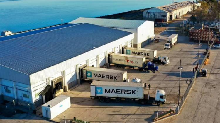 Se cargaron en Puerto Rosales 5 contenedores con langostinos para exportar a España