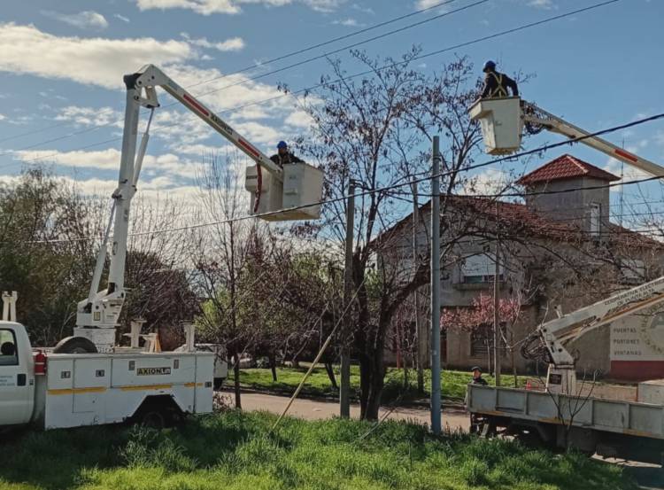 Programan un corte de energía para trabajos de poda en Nueva Bahía y aledaños